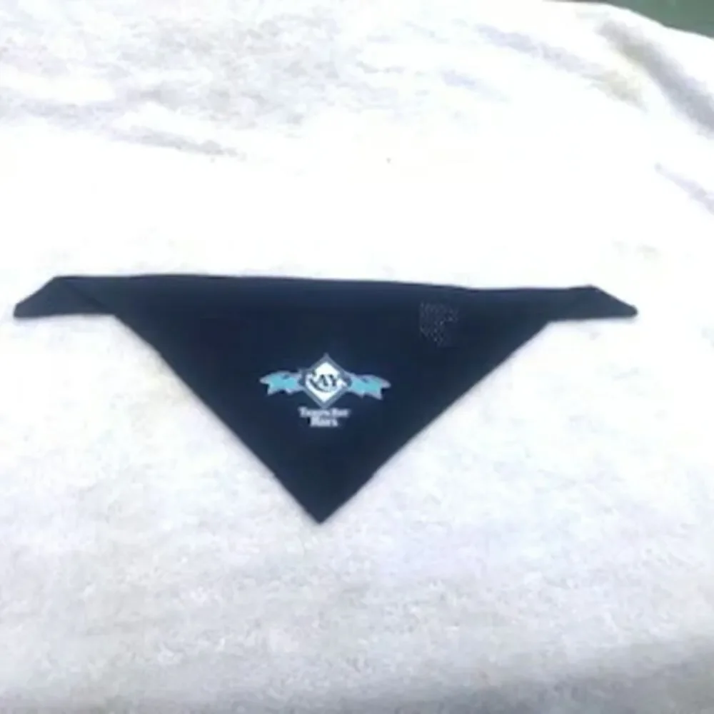Tampa Bay Rays ** tampa