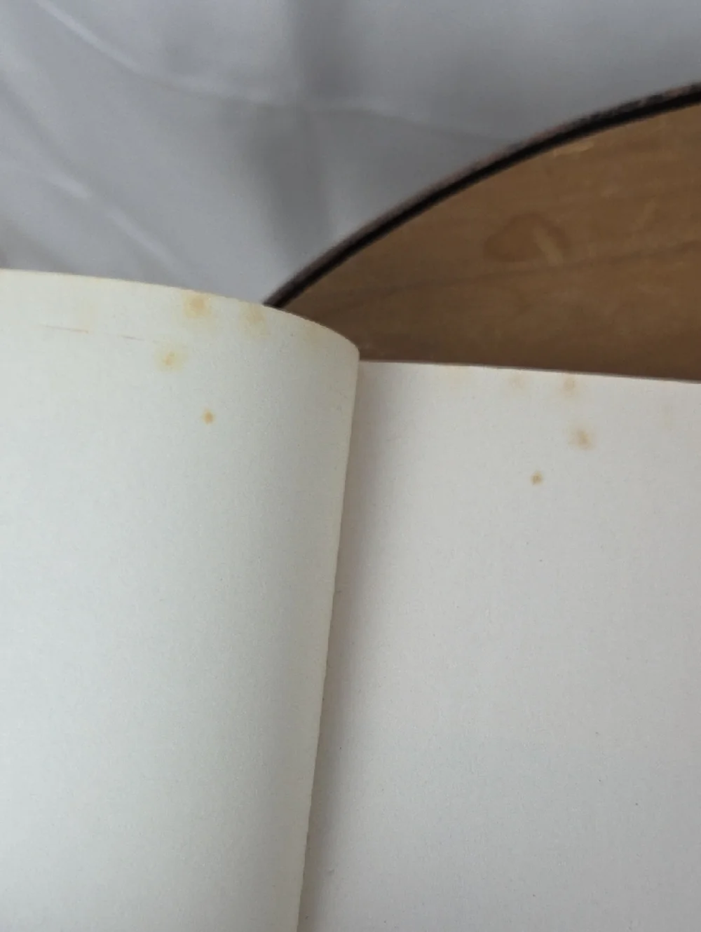 Family circle this book