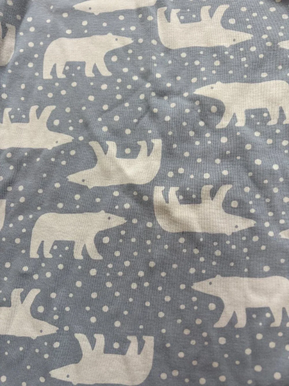 Hanna Andersson pajamas anderson polar