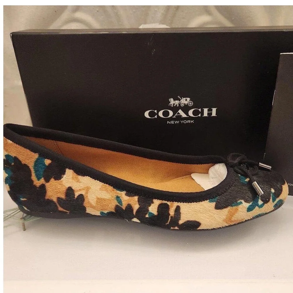 Coach brand model