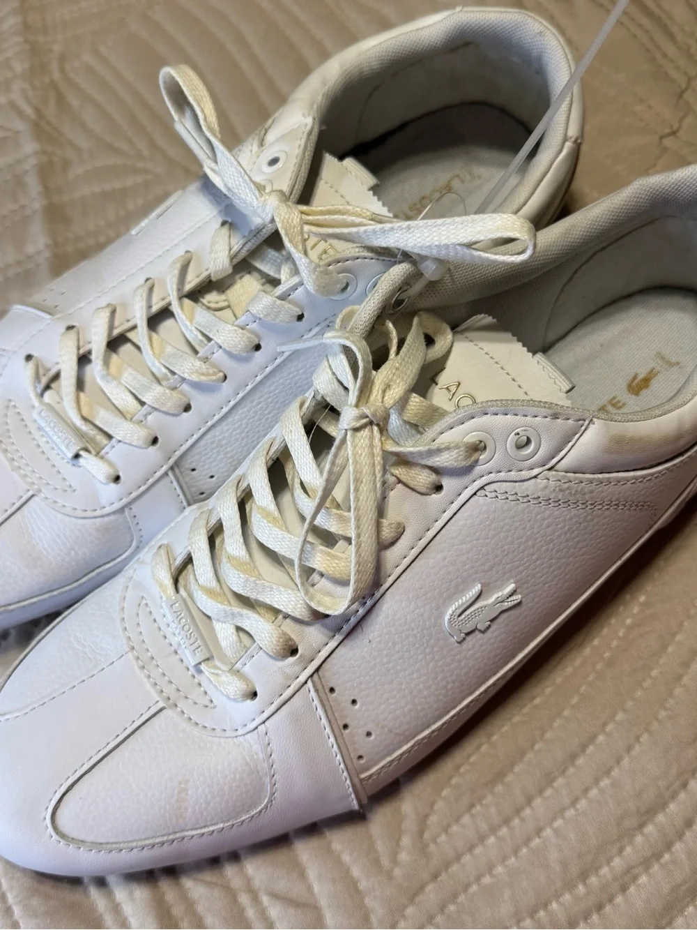 Lacoste b360 size