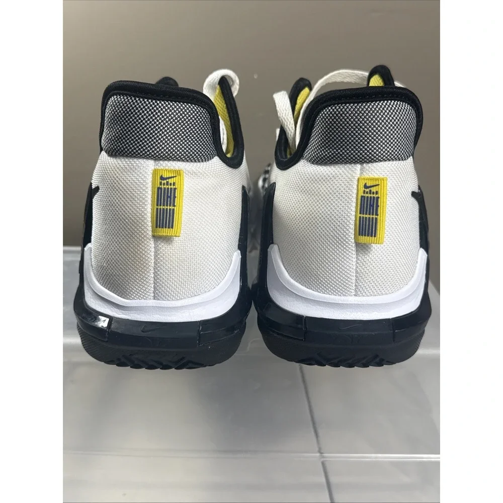 Nike lebron witness