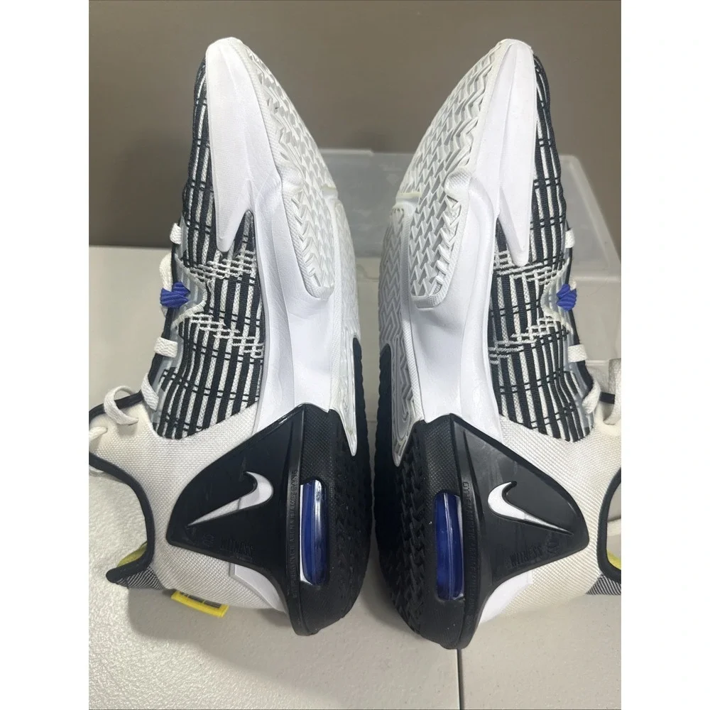 Nike lebron witness