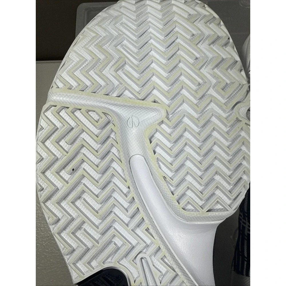 Nike lebron witness