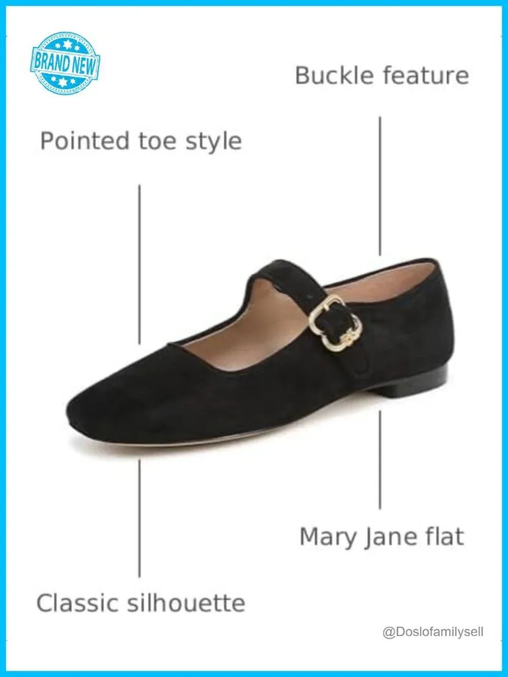 Sam Edelman Michaela Mesh Ballet Flats Pointed Toe Buckle Mary Jane Flats