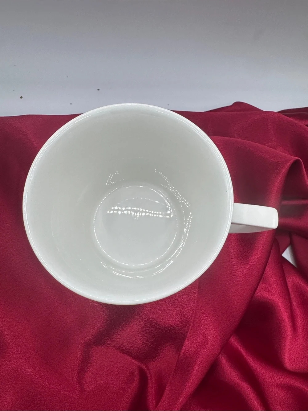 Portmeirion anemone teacup