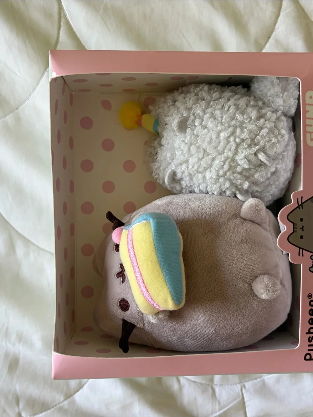 Pusheen includes two