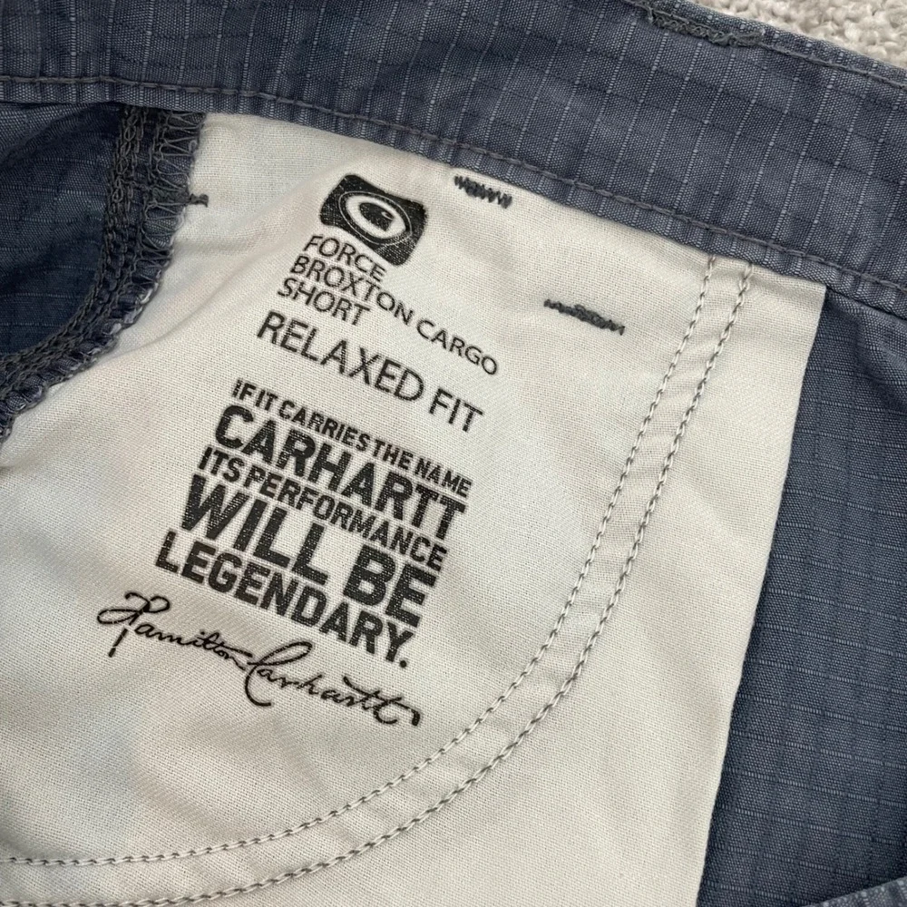 Carhartt force broxton