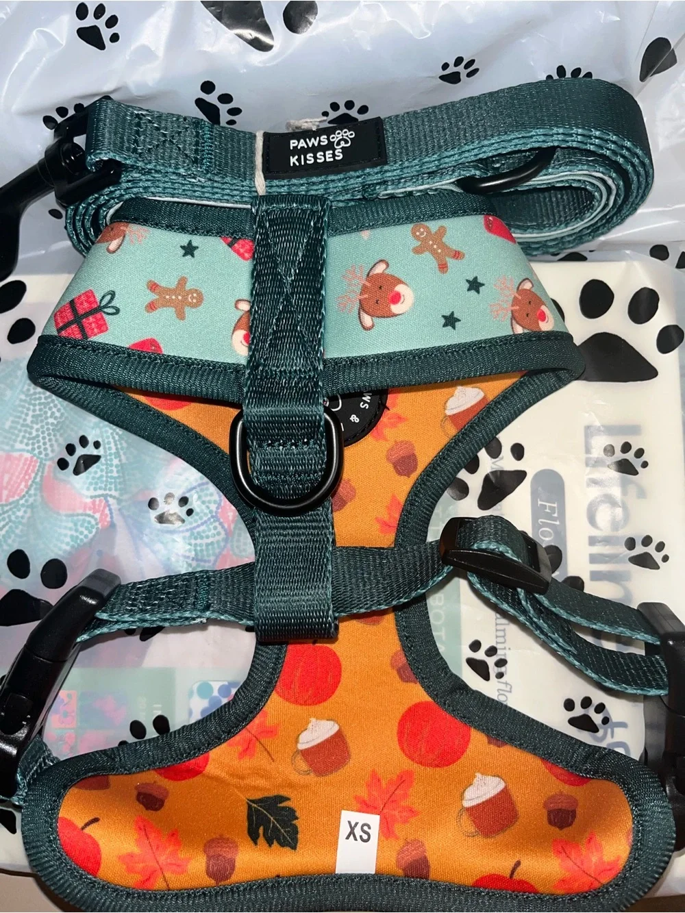 Paws Kisses teal forest