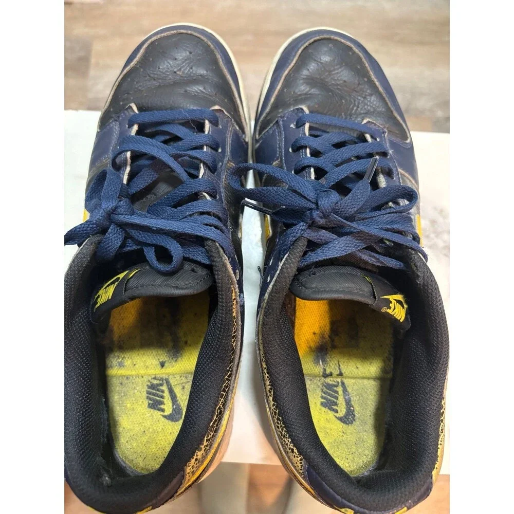 Nfl Nike nike dunk