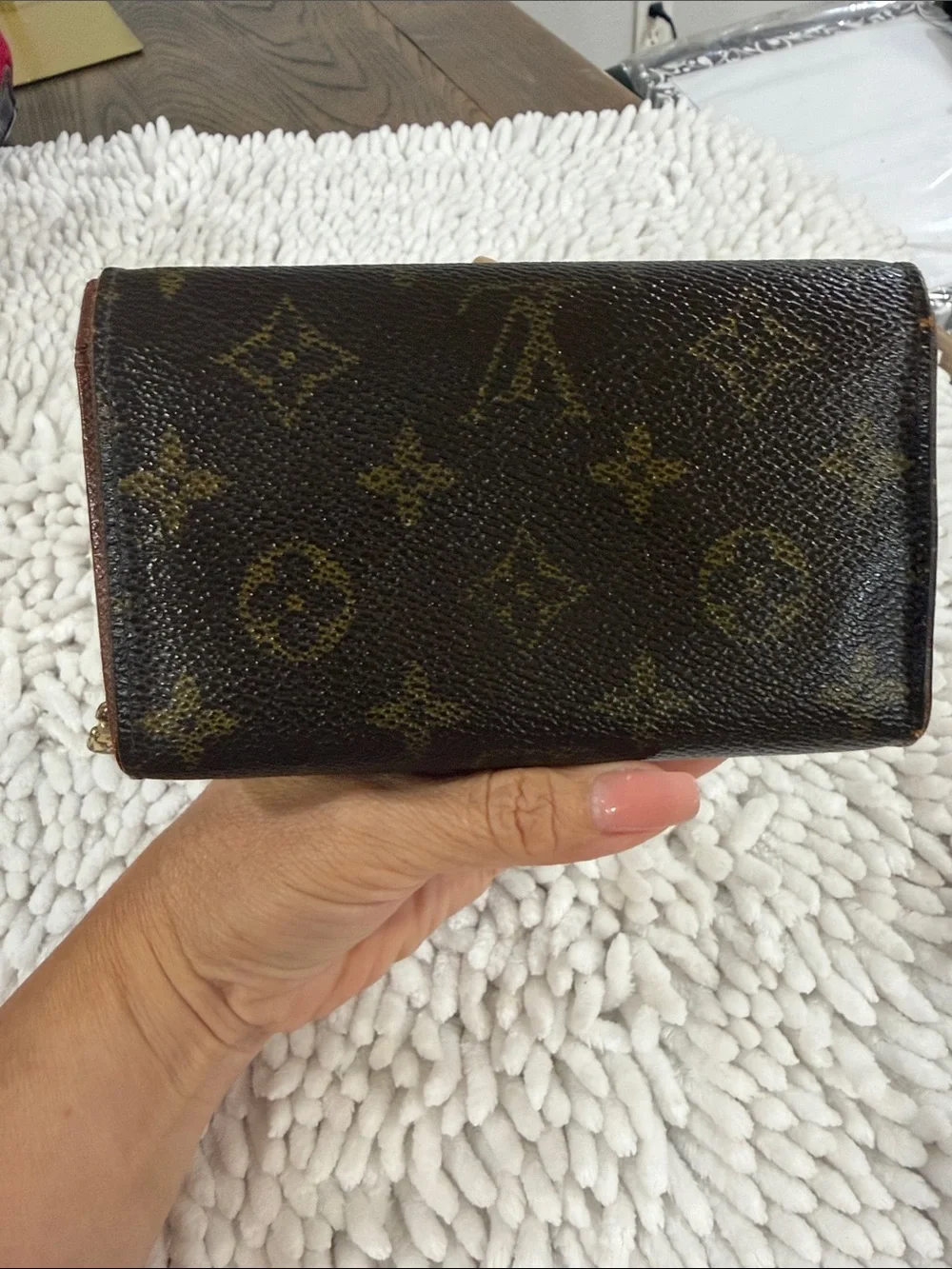 Louis Vuitton signature louis