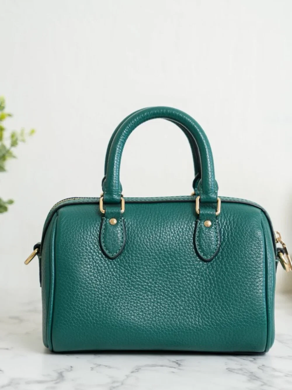 Coach cw328 mini