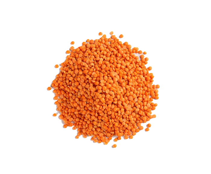 LENTILS